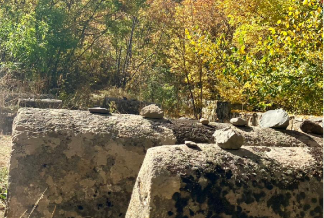 Crédit : François Charlot